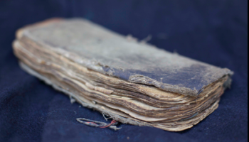 verysmall_09b Toche text.jpg